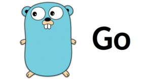 golang tshirts